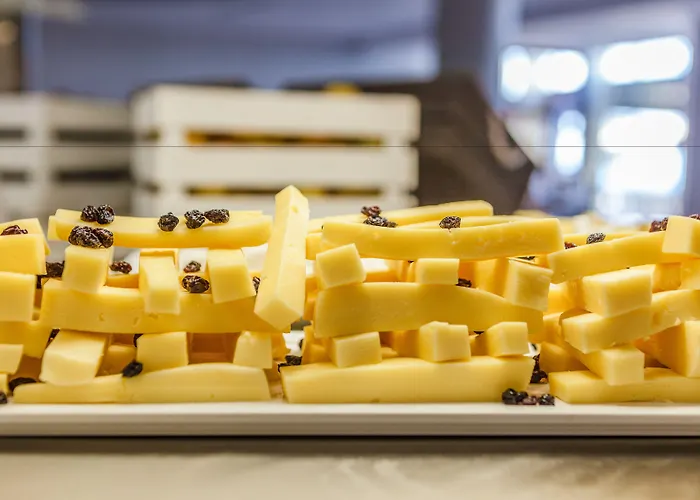 奇普利奥提斯水上乐园酒店 酒店